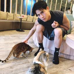 今日娱乐爆料彭于晏视频,幕后故事引网友热议